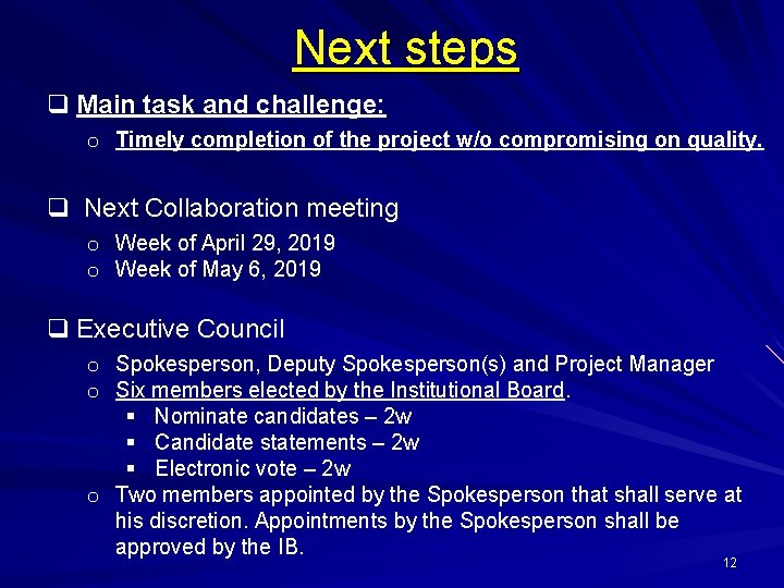 Next steps q Main task and challenge: o Timely completion of the project w/o
