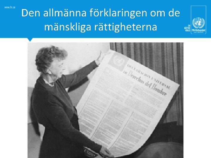 Den allmänna förklaringen om de mänskliga rättigheterna 