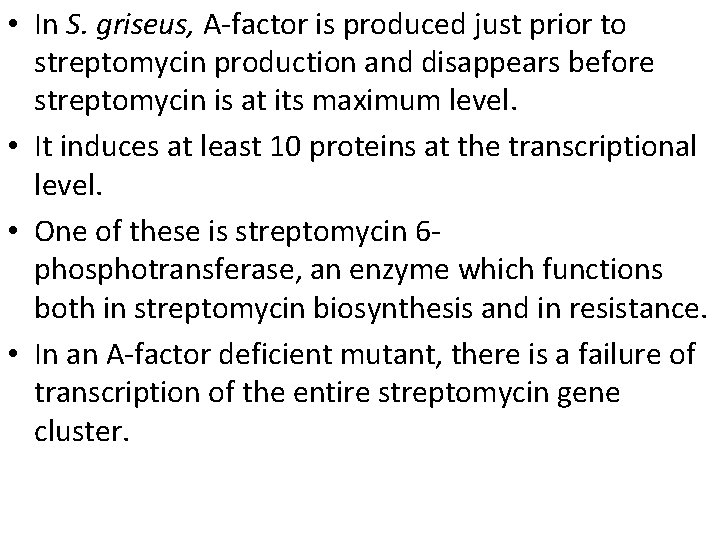  • In S. griseus, A-factor is produced just prior to streptomycin production and