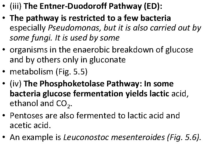  • (iii) The Entner-Duodoroff Pathway (ED): • The pathway is restricted to a