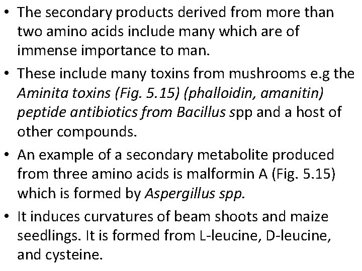  • The secondary products derived from more than two amino acids include many