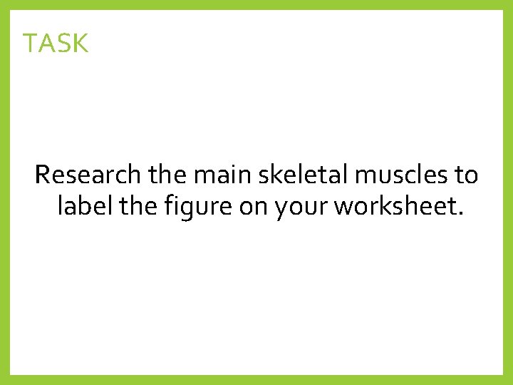TASK Research the main skeletal muscles to label the figure on your worksheet. 
