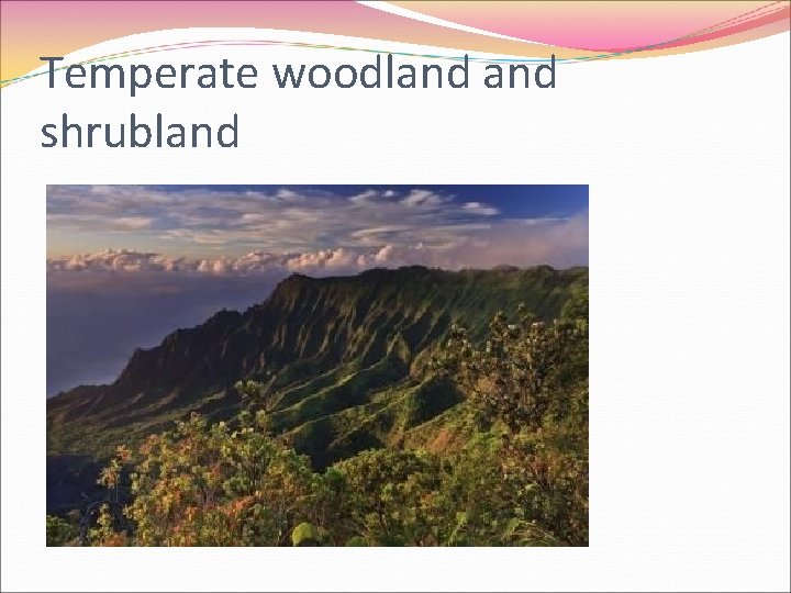Temperate woodland shrubland 