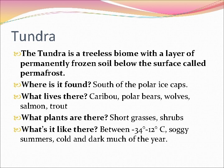 Tundra The Tundra is a treeless biome with a layer of permanently frozen soil