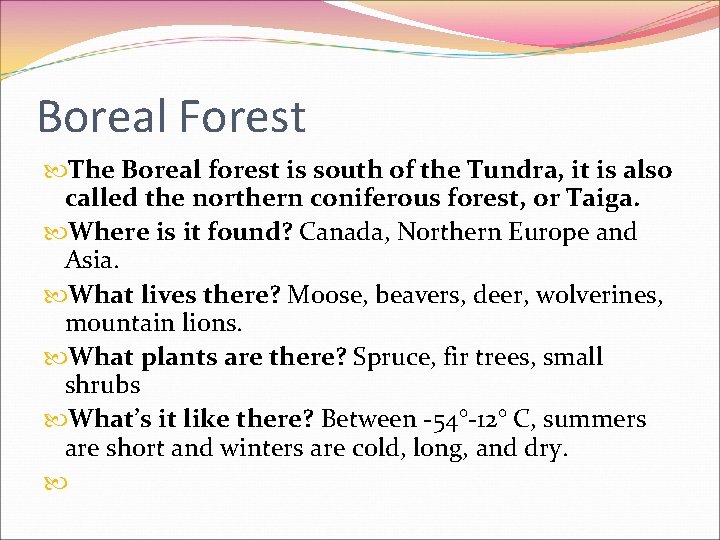 Boreal Forest The Boreal forest is south of the Tundra, it is also called