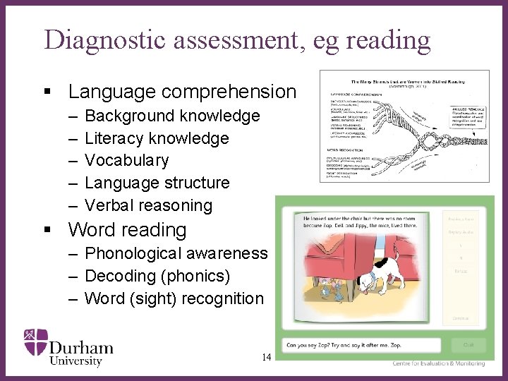 Diagnostic assessment, eg reading § Language comprehension – – – Background knowledge Literacy knowledge