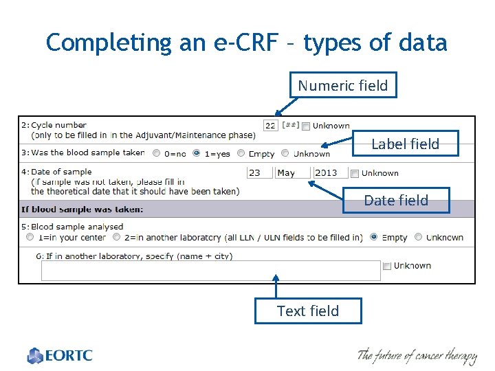 Completing an e-CRF – types of data Numeric field Label field Date field Text