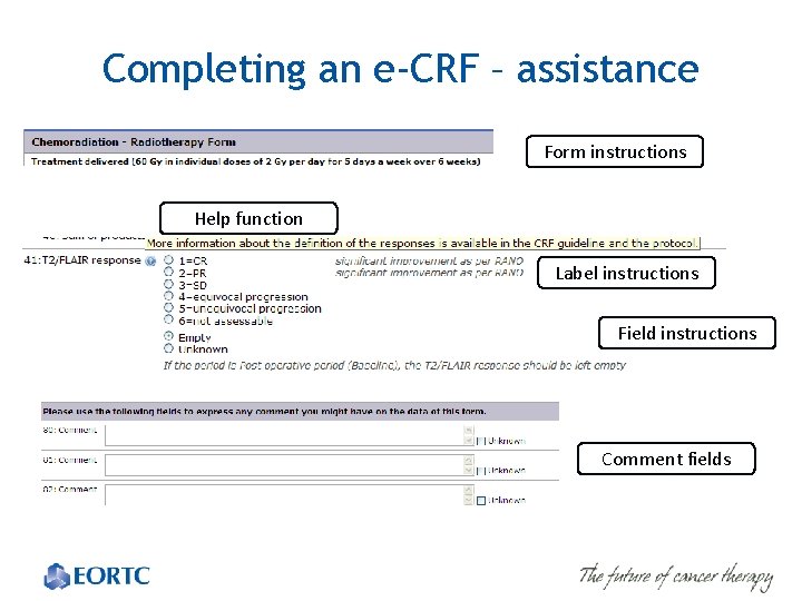 Completing an e-CRF – assistance Form instructions Help function Label instructions Field instructions Comment