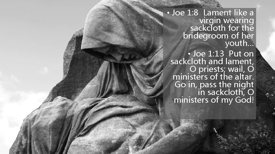  • Joe 1: 8 Lament like a virgin wearing sackcloth for the bridegroom