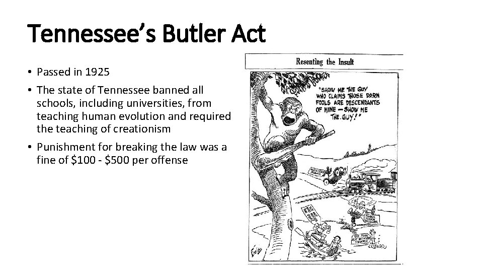 Tennessee’s Butler Act • Passed in 1925 • The state of Tennessee banned all