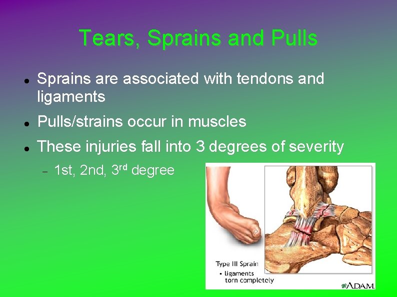 Tears, Sprains and Pulls Sprains are associated with tendons and ligaments Pulls/strains occur in