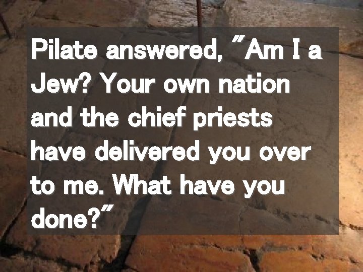 Pilate answered, "Am I a Jew? Your own nation and the chief priests have