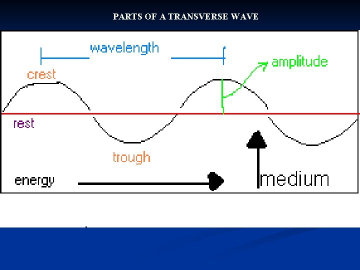 PARTS OF A TRANSVERSE WAVE 