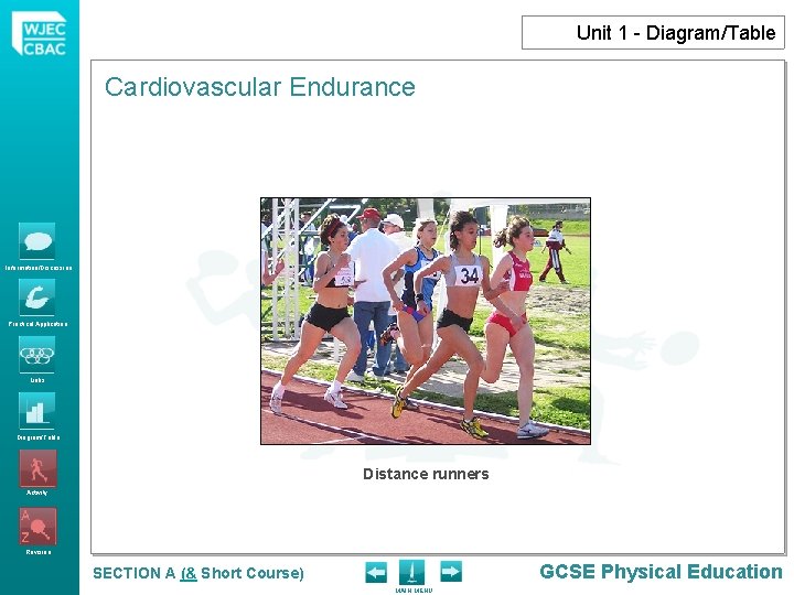 Unit 1 - Diagram/Table Cardiovascular Endurance Information/Discussion Practical Application Links Diagram/Table Distance runners Activity