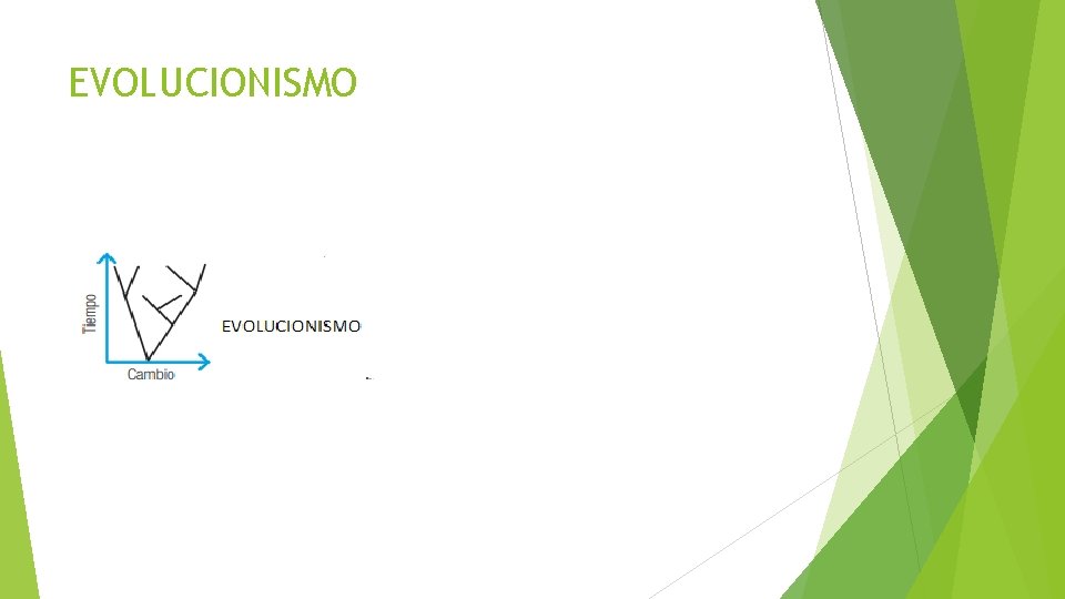 EVOLUCIONISMO 