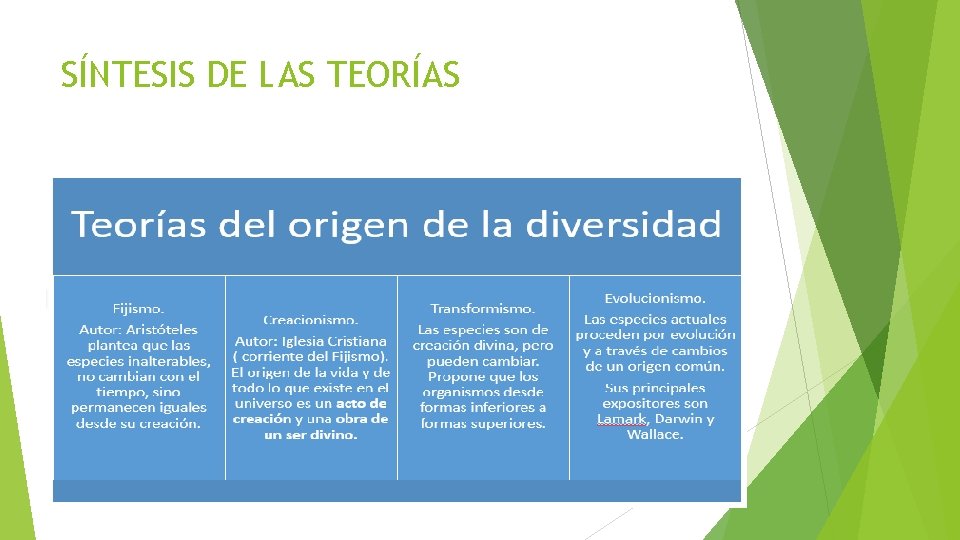 SÍNTESIS DE LAS TEORÍAS 