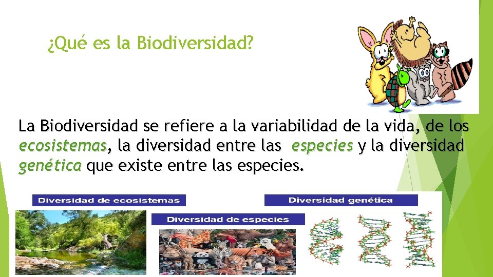 ¿Qué es la Biodiversidad? La Biodiversidad se refiere a la variabilidad de la vida,