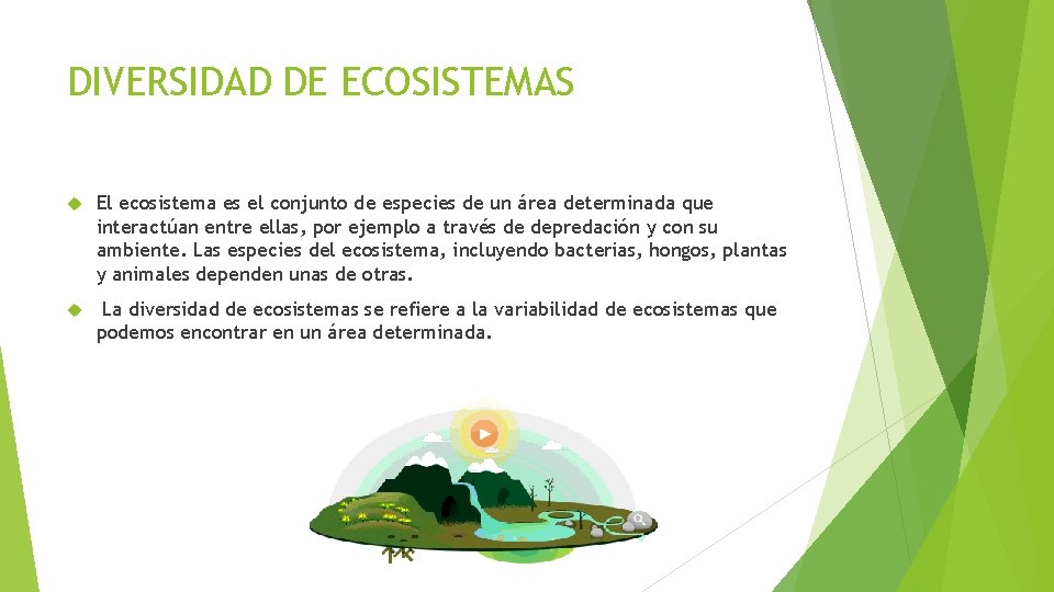DIVERSIDAD DE ECOSISTEMAS El ecosistema es el conjunto de especies de un área determinada