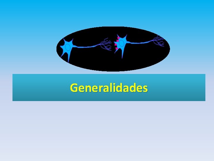 Generalidades 
