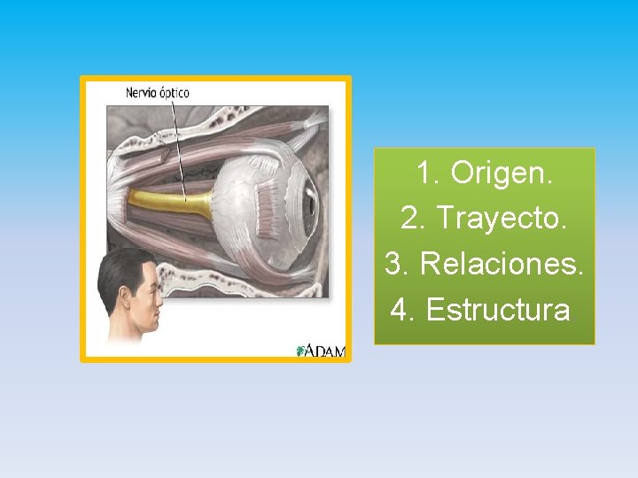 1. Origen. 2. Trayecto. 3. Relaciones. 4. Estructura. 