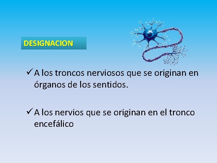 DESIGNACION ü A los troncos nerviosos que se originan en órganos de los sentidos.