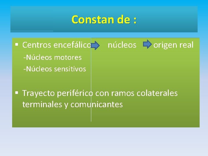 Constan de : § Centros encefálicos núcleos origen real -Núcleos motores -Núcleos sensitivos §