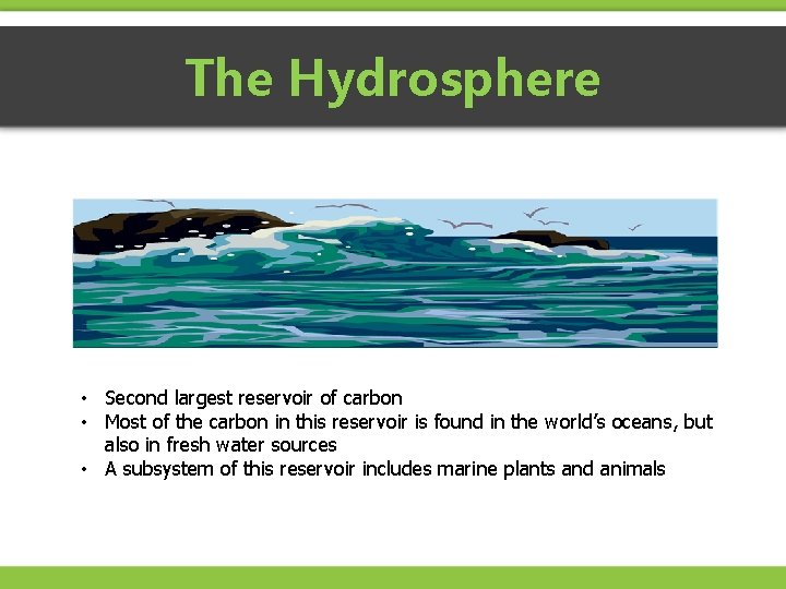 The Hydrosphere • Second largest reservoir of carbon • Most of the carbon in