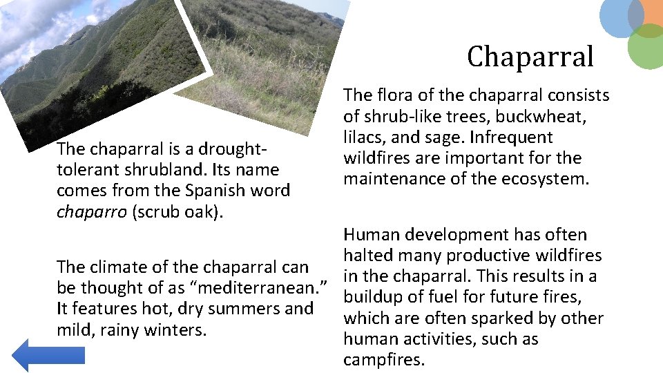 Chaparral The chaparral is a droughttolerant shrubland. Its name comes from the Spanish word