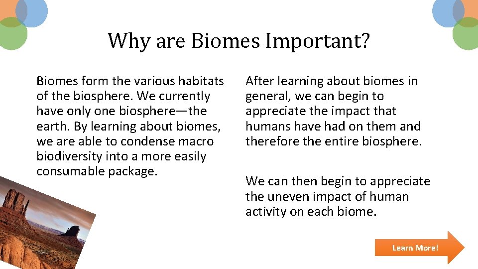 Why are Biomes Important? Biomes form the various habitats of the biosphere. We currently