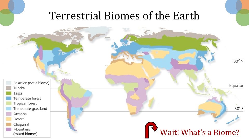 Terrestrial Biomes of the Earth Wait! What’s a Biome? 