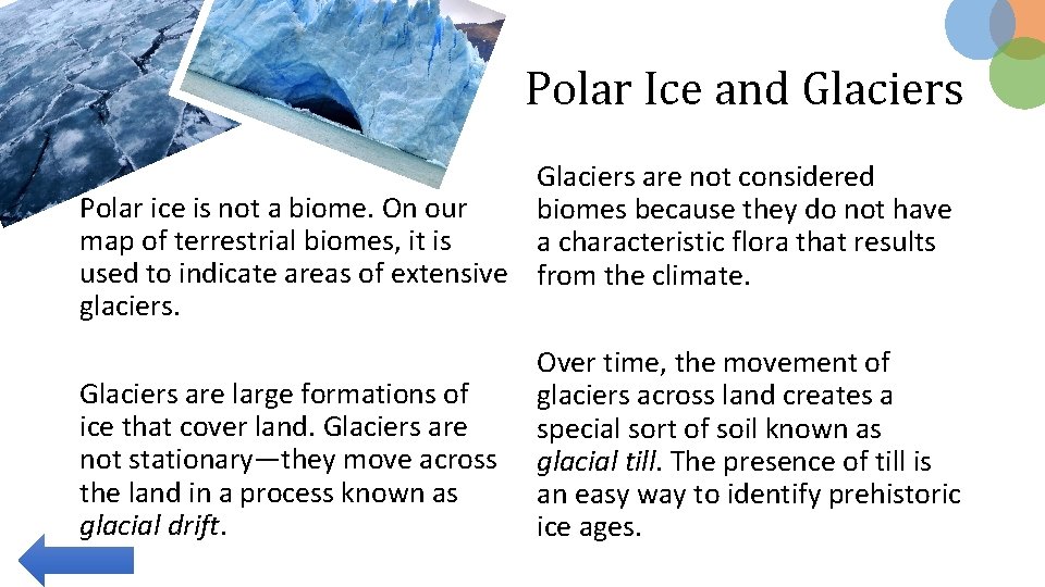 Polar Ice and Glaciers are not considered Polar ice is not a biome. On