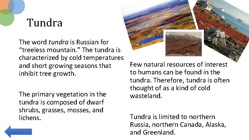 Tundra The word tundra is Russian for “treeless mountain. ” The tundra is characterized