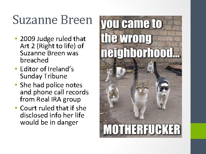 Suzanne Breen • 2009 Judge ruled that Art 2 (Right to life) of Suzanne