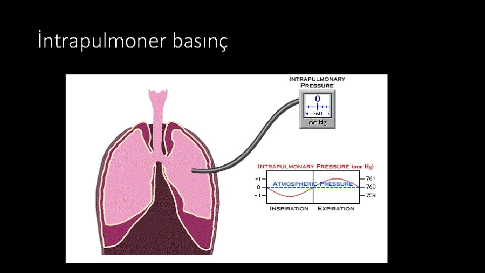 İntrapulmoner basınç 