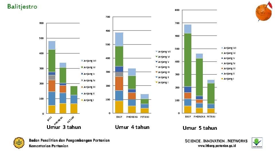 Balitjestro 800 700 600 600 500 Jenjang VII 400 Jenjang VII Jenjang V 400