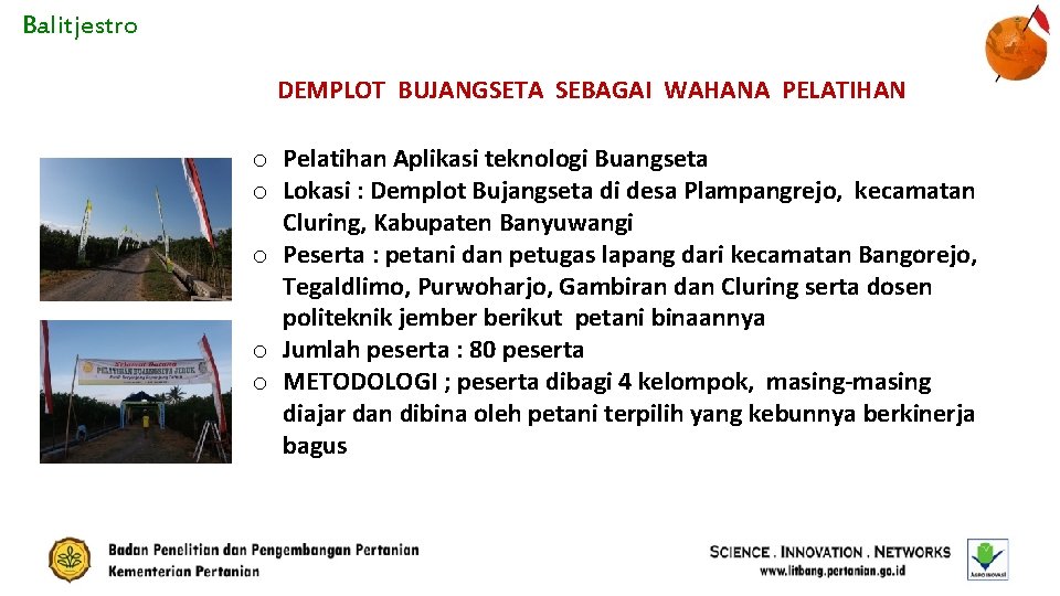 Balitjestro DEMPLOT BUJANGSETA SEBAGAI WAHANA PELATIHAN o Pelatihan Aplikasi teknologi Buangseta o Lokasi :