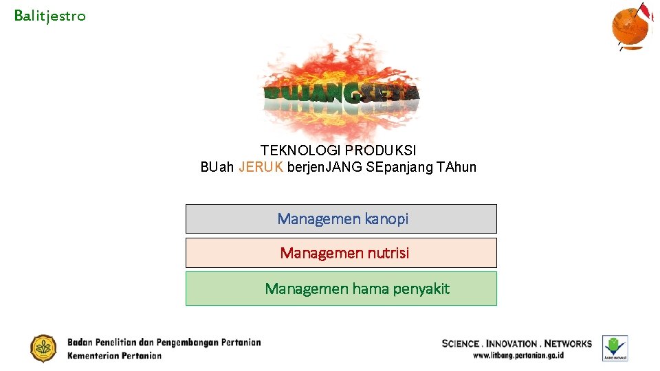 Balitjestro TEKNOLOGI PRODUKSI BUah JERUK berjen. JANG SEpanjang TAhun Managemen kanopi Managemen nutrisi Managemen