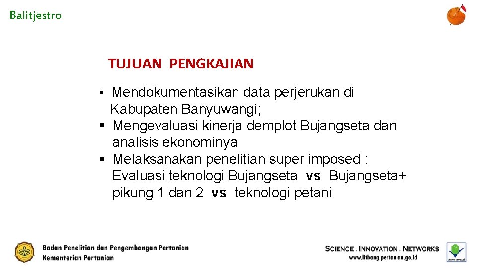 Balitjestro TUJUAN PENGKAJIAN § Mendokumentasikan data perjerukan di Kabupaten Banyuwangi; § Mengevaluasi kinerja demplot