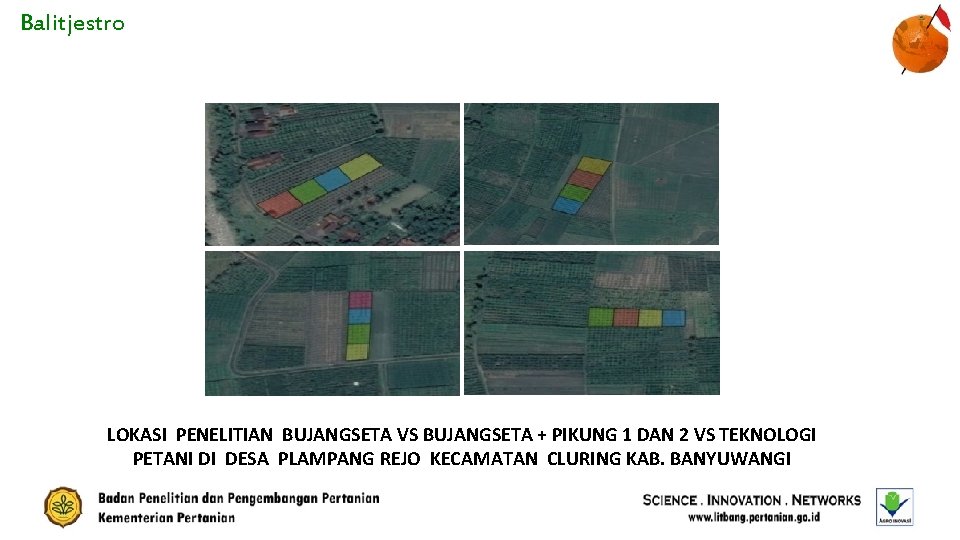 Balitjestro LOKASI PENELITIAN BUJANGSETA VS BUJANGSETA + PIKUNG 1 DAN 2 VS TEKNOLOGI PETANI