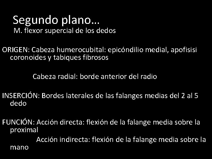  • Segundo plano… M. flexor supercial de los dedos ORIGEN: Cabeza humerocubital: epicóndilio