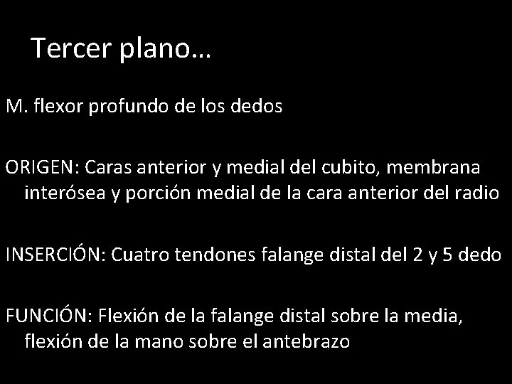 Tercer plano… M. flexor profundo de los dedos ORIGEN: Caras anterior y medial del