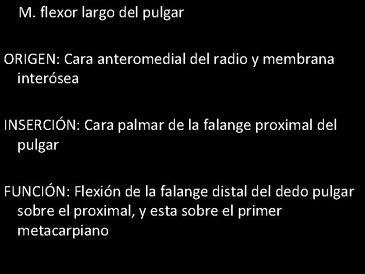 M. flexor largo del pulgar ORIGEN: Cara anteromedial del radio y membrana interósea INSERCIÓN: