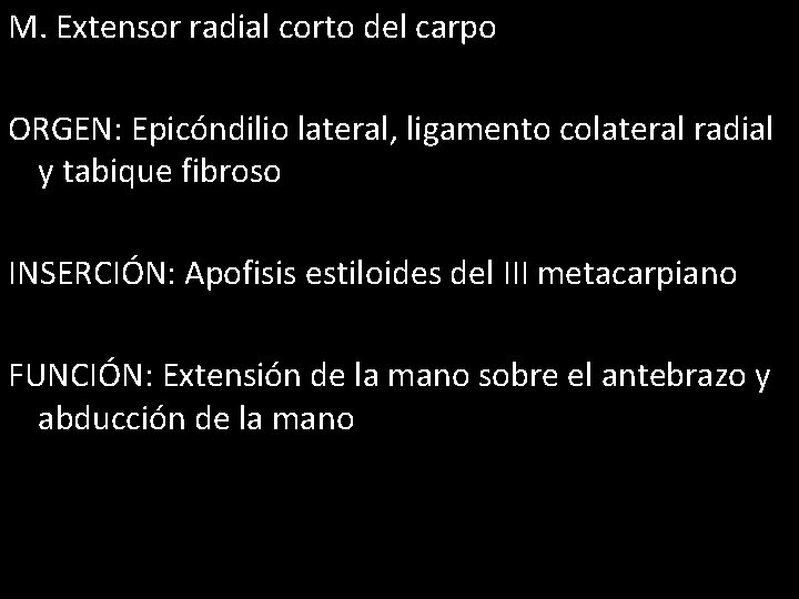 M. Extensor radial corto del carpo ORGEN: Epicóndilio lateral, ligamento colateral radial y tabique