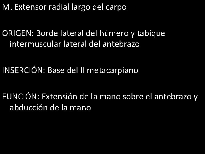 M. Extensor radial largo del carpo ORIGEN: Borde lateral del húmero y tabique intermuscular