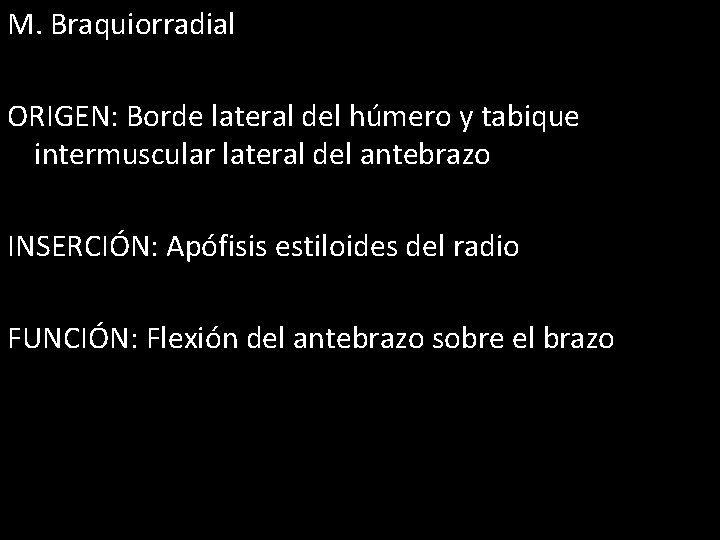 M. Braquiorradial ORIGEN: Borde lateral del húmero y tabique intermuscular lateral del antebrazo INSERCIÓN:
