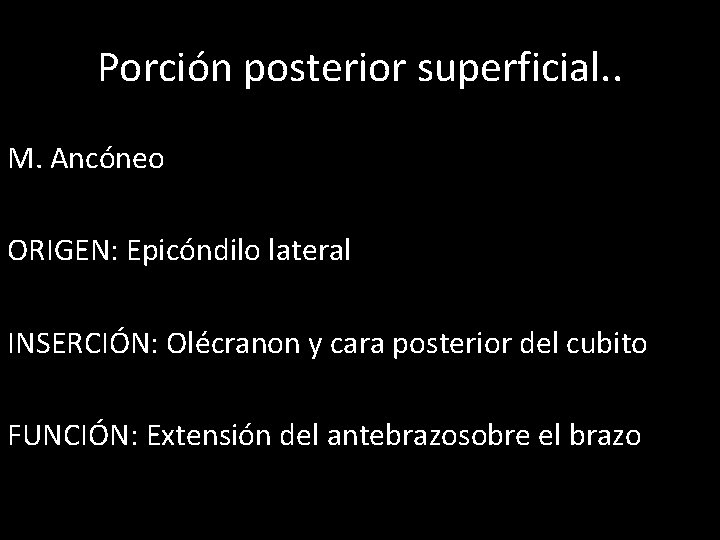 Porción posterior superficial. . M. Ancóneo ORIGEN: Epicóndilo lateral INSERCIÓN: Olécranon y cara posterior