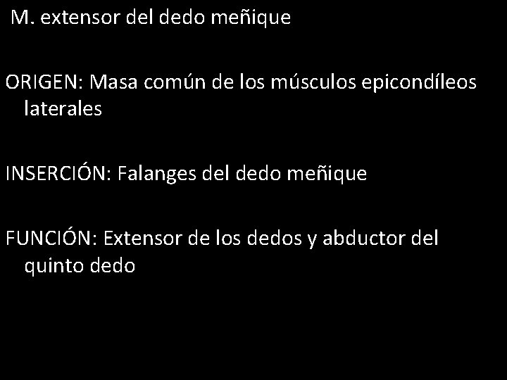 M. extensor del dedo meñique ORIGEN: Masa común de los músculos epicondíleos laterales INSERCIÓN: