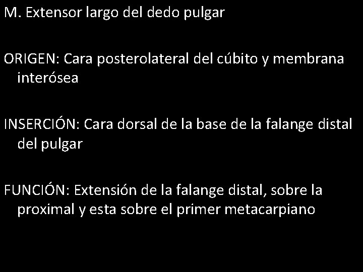 M. Extensor largo del dedo pulgar ORIGEN: Cara posterolateral del cúbito y membrana interósea