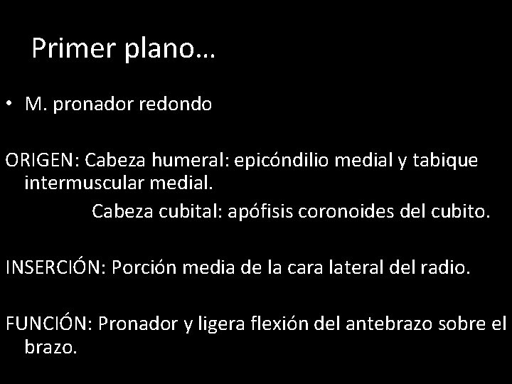 Primer plano… • M. pronador redondo ORIGEN: Cabeza humeral: epicóndilio medial y tabique intermuscular