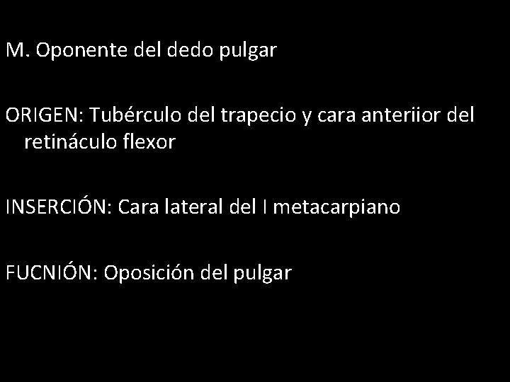 M. Oponente del dedo pulgar ORIGEN: Tubérculo del trapecio y cara anteriior del retináculo